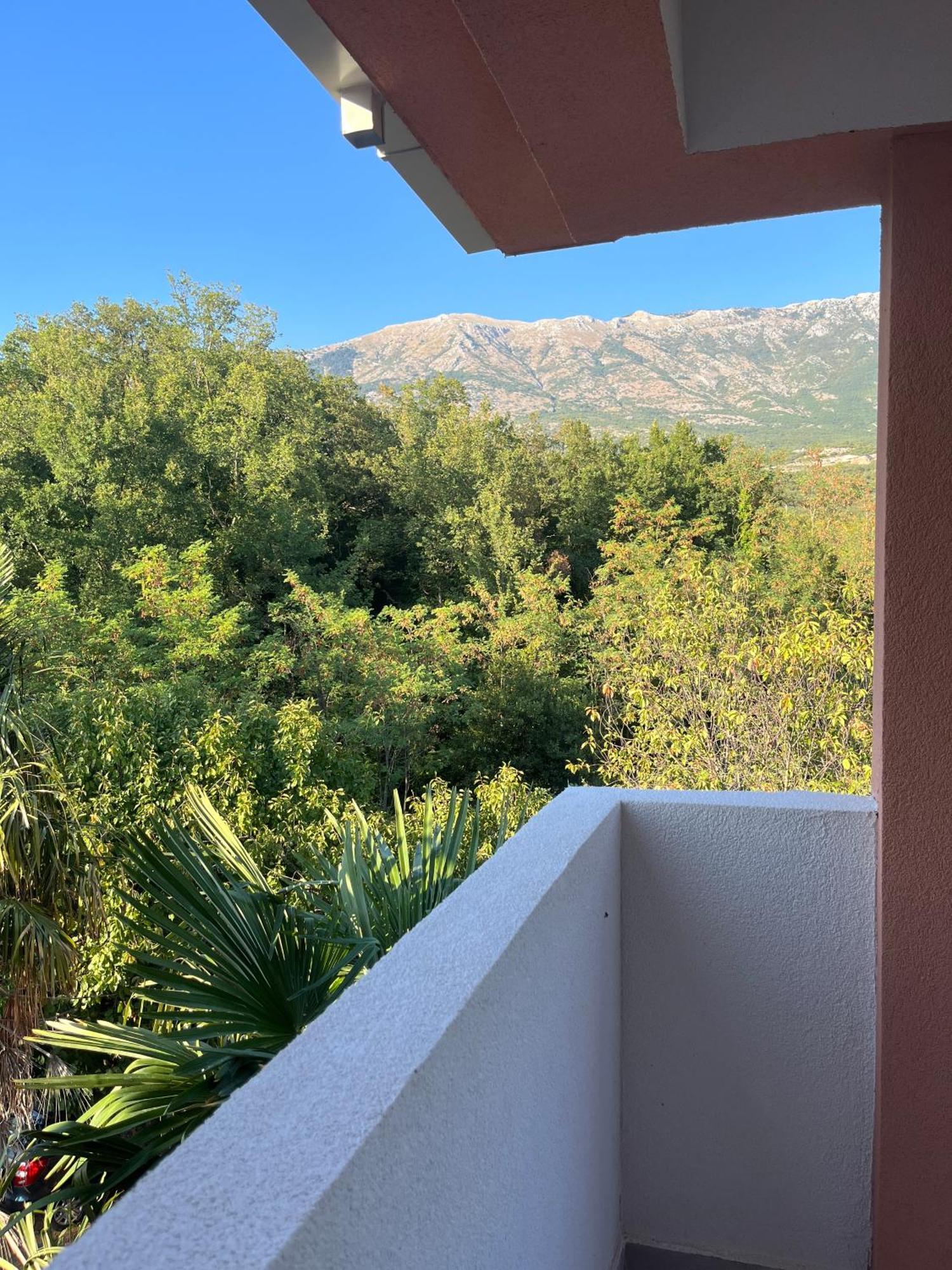 Apartments Two Olives Kotor Luaran gambar